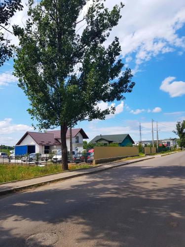 Service Auto Botosani LDN - Galerie foto 4